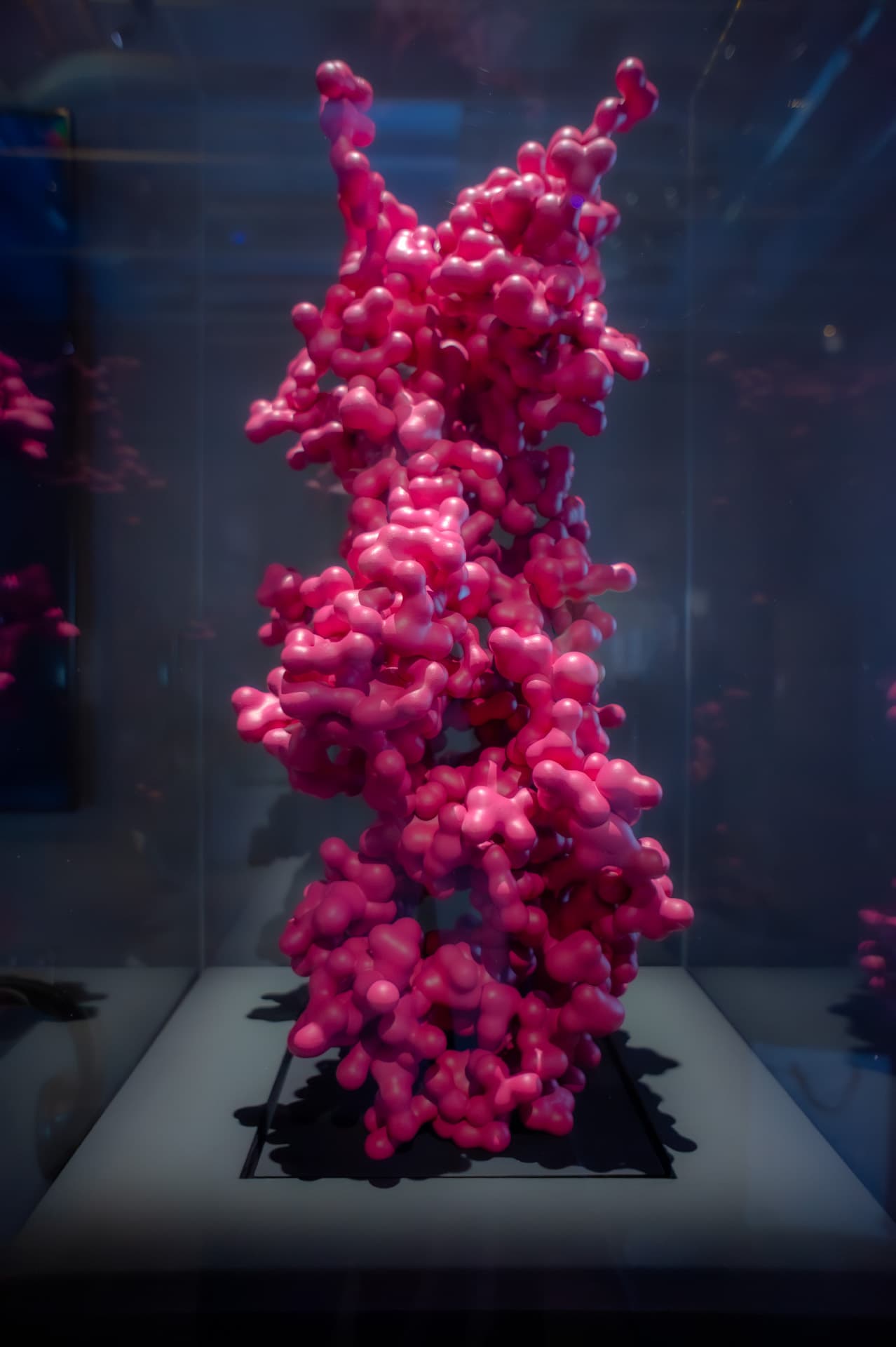Two Columns From Neural Potentials